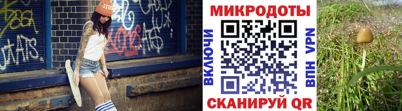 где найти   Сычёвка  Псилоцибиновые грибы Psilocybine cubensis 